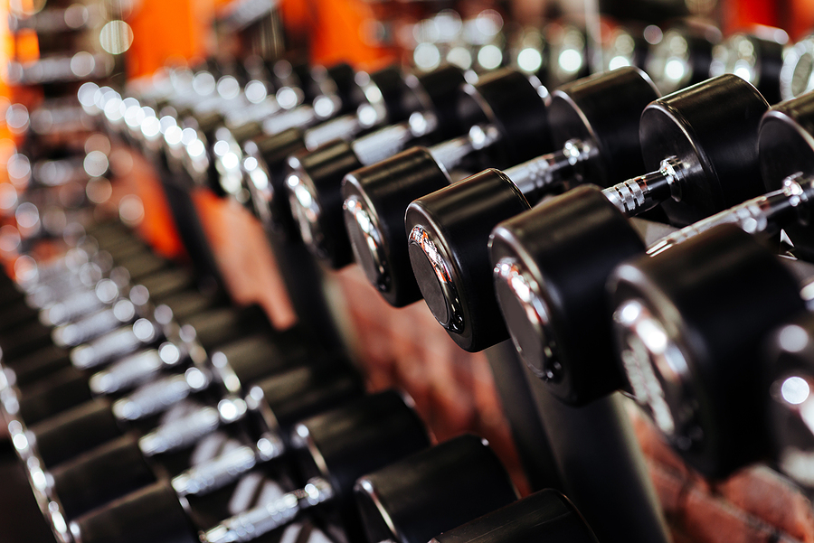 Gym Equipment Rows of Dumbells